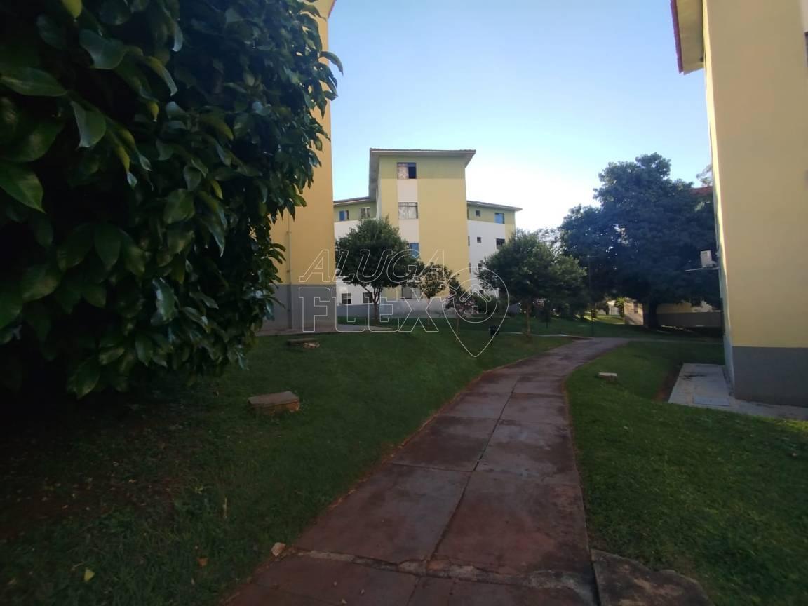 14 de 17