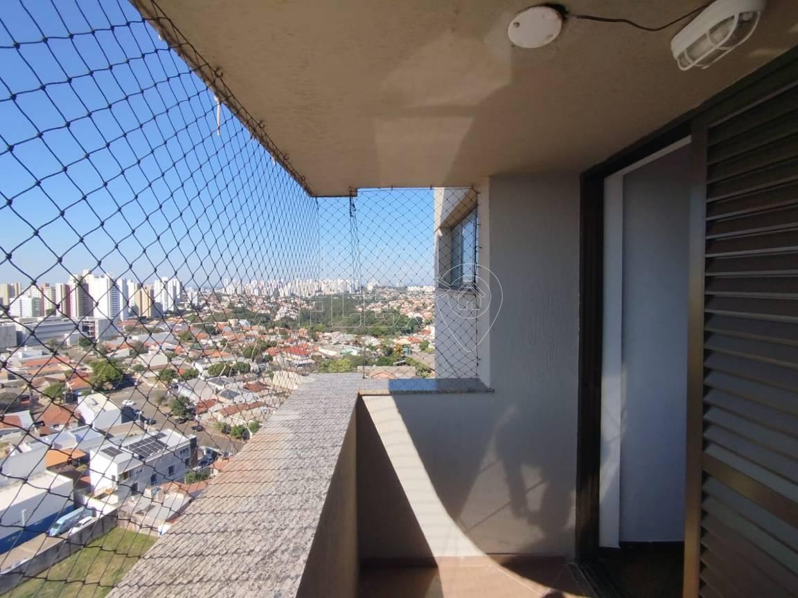 15 de 25